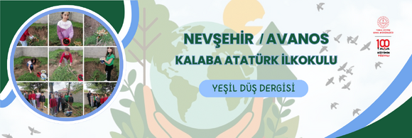 YEŞİL DÜŞ DERGİSİ